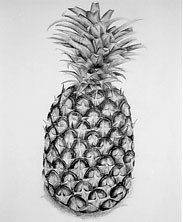 �f�b�T����i�u�ʕ��v